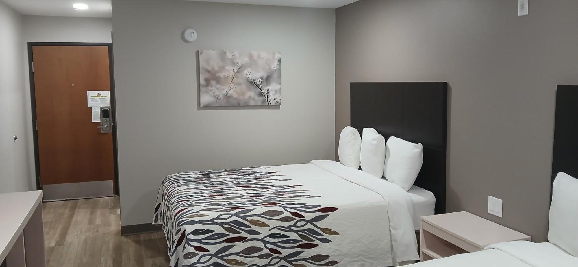 Red Roof Inn & Suites Euless - Dfw Airport Southwest Extérieur photo