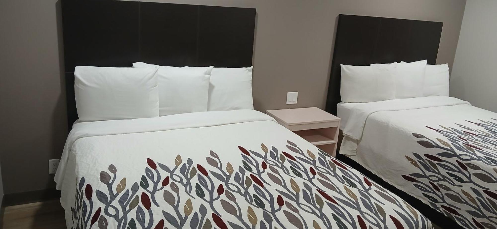 Red Roof Inn & Suites Euless - Dfw Airport Southwest Extérieur photo